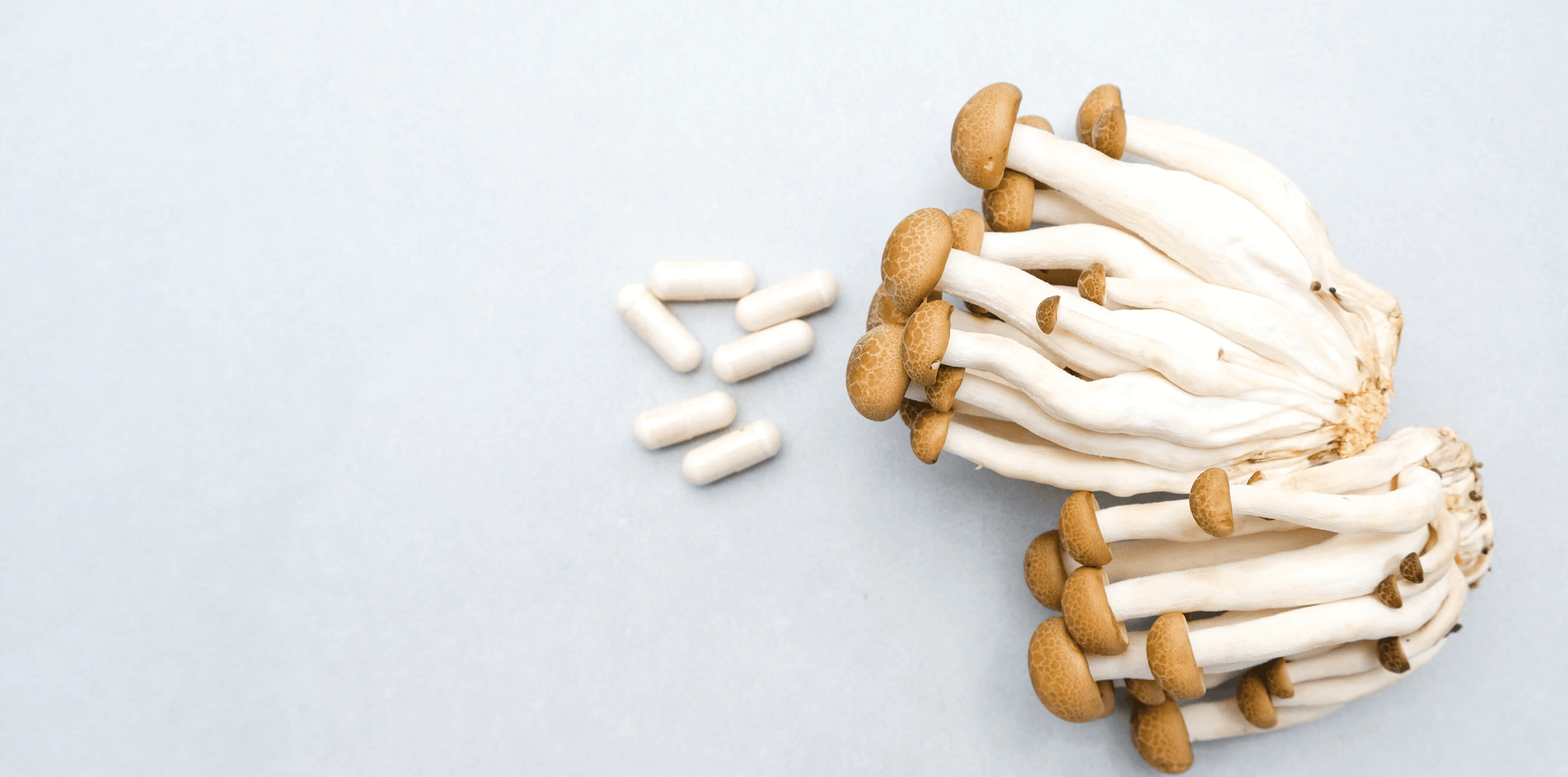 Nootropic Mushrooms with mushroom supplement capsules