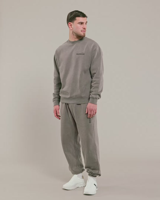 Male model wearing grey warrior addict joggers and crew sweater 
