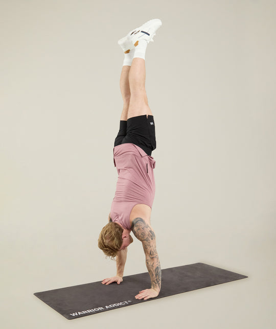 Warrior Skin Tank + Inversion Tech